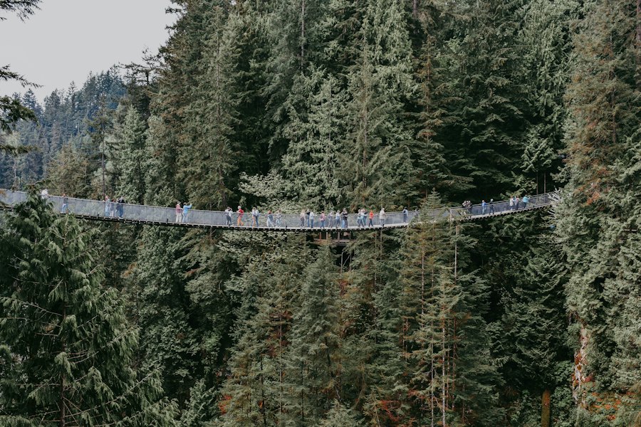 People crossing a suspension bridge high in a rainforest